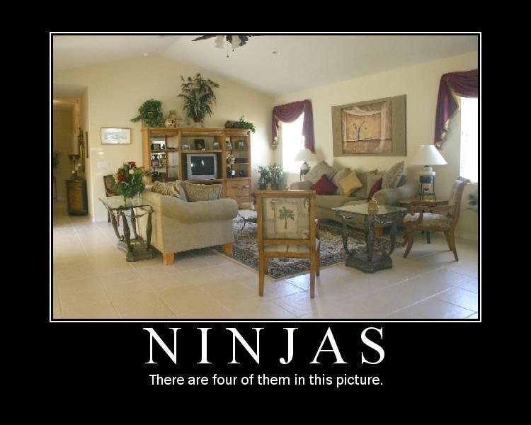 Ninja Awesome